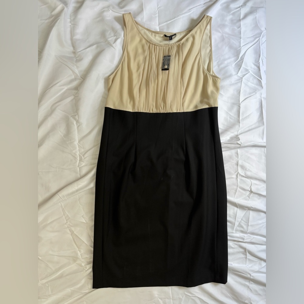 The Limited Cream and Black Midi Sheath Dress